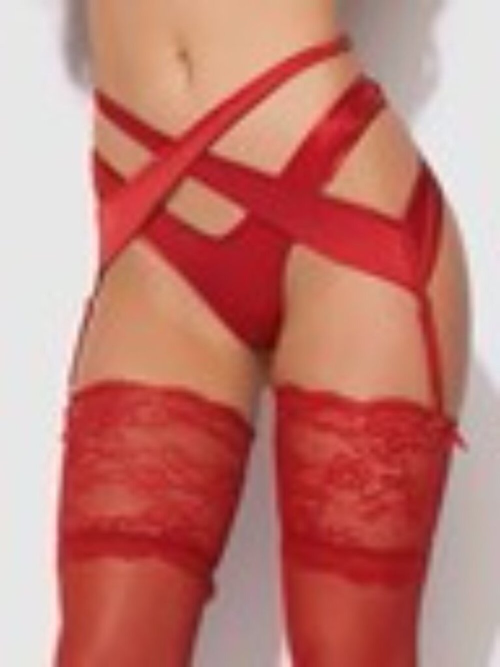 Frederick's of Hollywood Red Strappy Mesh Garter Thong Set